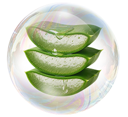 Экстракт алоэ барбаденсис