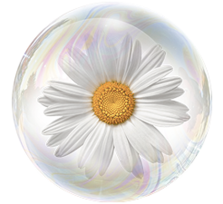 Экстракт ромашки