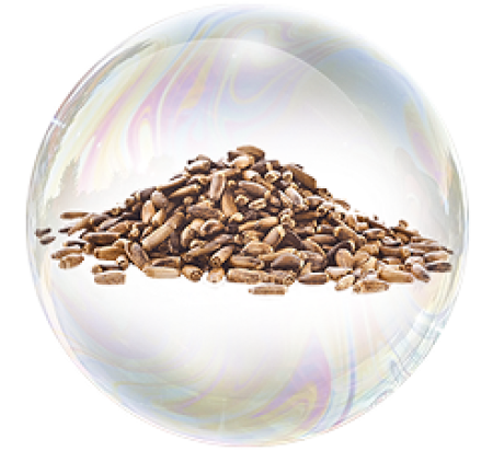 Экстракт расторопши