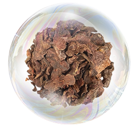 Золотой корень