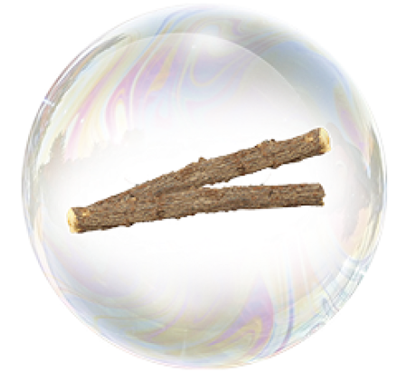 Корень солодки