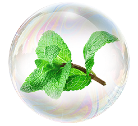 Экстракт листьев мяты полевой