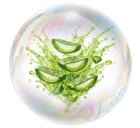 Сок Алоэ Вера 