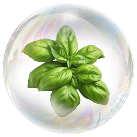 Базилик (лист)